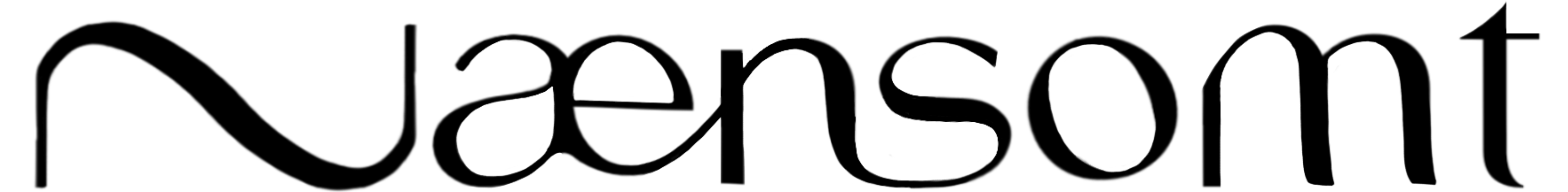 Nænsomt logo